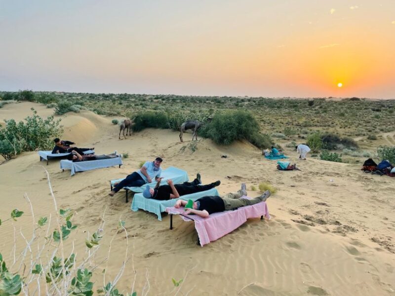 1 night 2 days Thar Desert Experience Jaisalmer - Exploring the 2-Day Thar Desert Adventure