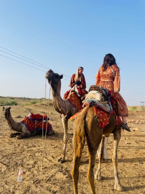 1 night 2 days Thar Desert Experience Jaisalmer - Who Should Consider This Tour?