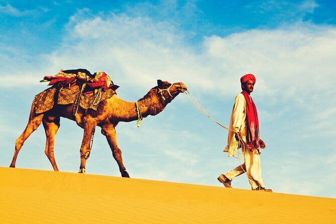 1-Night and 2-Days Thar Desert Safari Tour - Experience the Magic of the Thar Desert in 2 Days and 1 Night