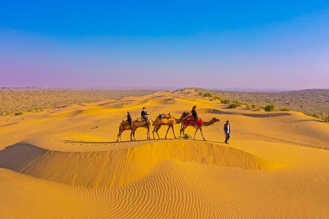 1-Night and 2-Days Thar Desert Safari Tour - Who Will Enjoy This Tour Most?