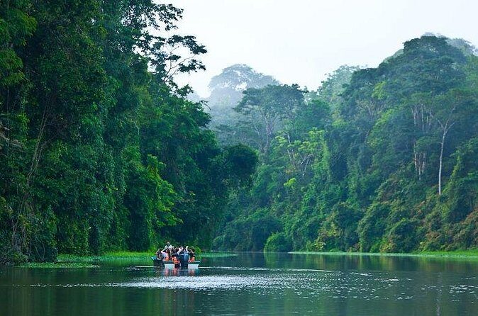 1 Night in Tortuguero + Tour to the Tortuguero National Park - Real Traveler Insights