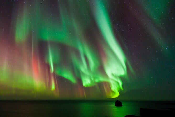 #1 Northern Lights Tour In Iceland from Reykjavik with PRO photos - The Sum Up