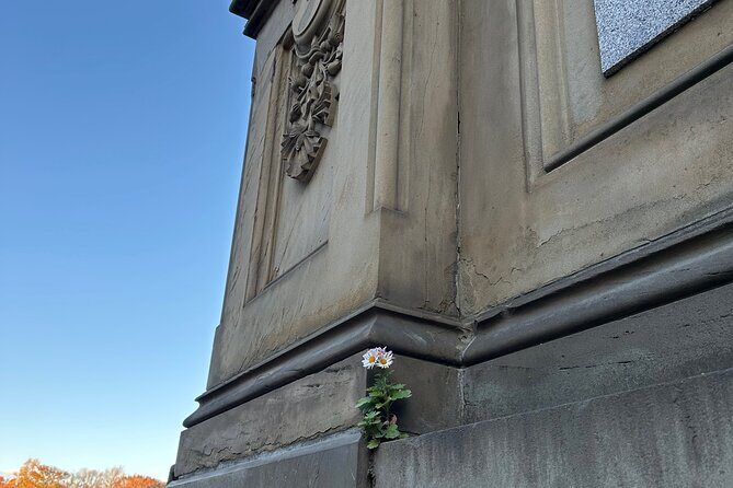 1 or 2 hour Central Park Pedicab Tour. - Frequently Asked Questions