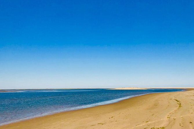 1 or 2 Hour Speed Boat Tour - Ria Formosa - Who Will Love This Tour?