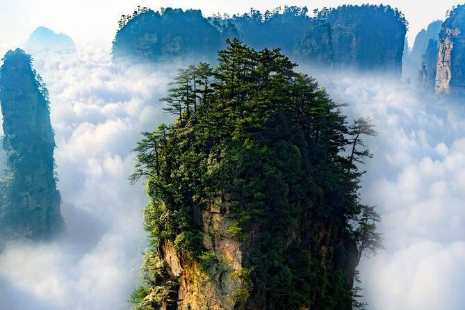 1 "Pandora" Day Trip-Zhangjiajie National Park(Avatar Mountain Scenery) - Experience the Surreal "Pandora" Day Trip in Zhangjiajie