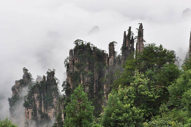 1 "Pandora" Day Trip-Zhangjiajie National Park(Avatar Mountain Scenery) - The Sum Up