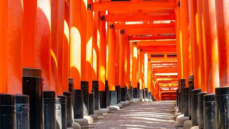 1 Person Group: Meet adorable deer, stroll through ancient capitals: Kyoto, Nara, Osaka Kansai classic panoramic one-day tour - What the $44.79 starting price does and does not cover