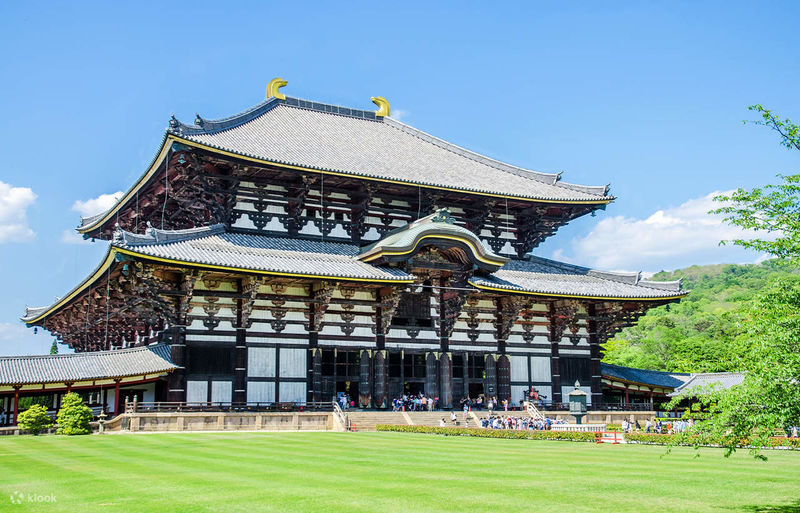 1 Person Group: Meet adorable deer, stroll through ancient capitals: Kyoto, Nara, Osaka Kansai classic panoramic one-day tour - Make the most of a tightly timed day