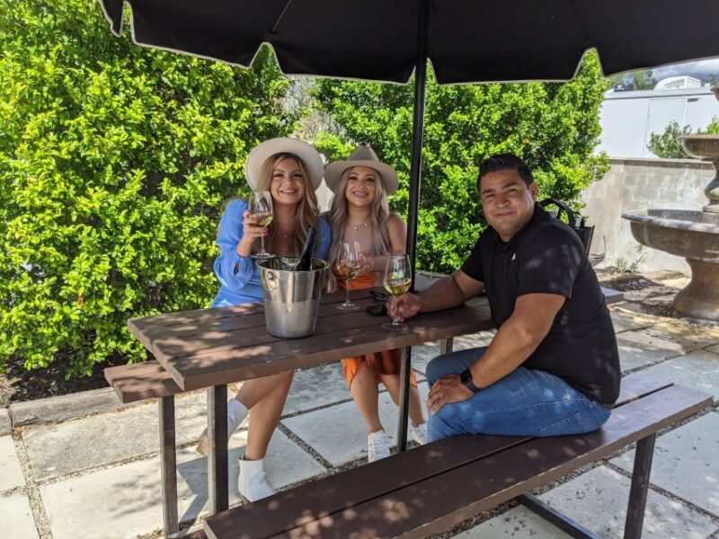 #1 Rated Wine Tour In Fredericksburg Texas - The Sum Up