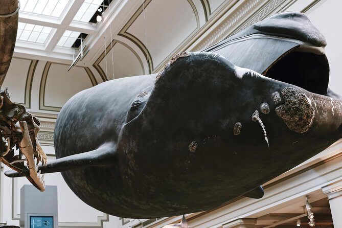 #1 Smithsonian Museum of Natural History | Satisfaction Guarantee - FAQs