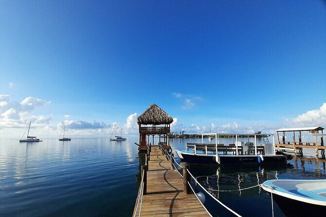 1 Stop Snorkel Adventure with Beach Break - Discover Roatan’s Underwater Treasures and Relaxing Beach Break
