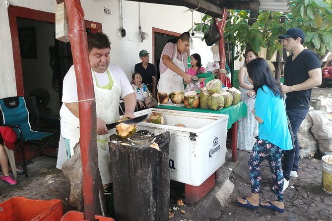 1 to 10 Passengers Vallarta Private City Tour - FAQ