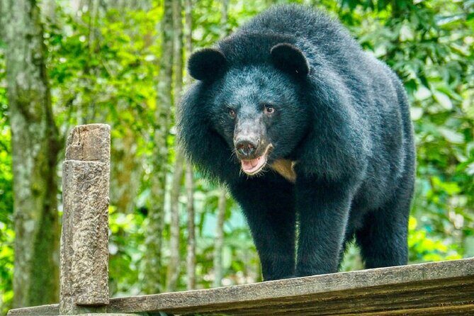 10 Day Ethical Animals Tour Where the Wild Things Roam - Key Points