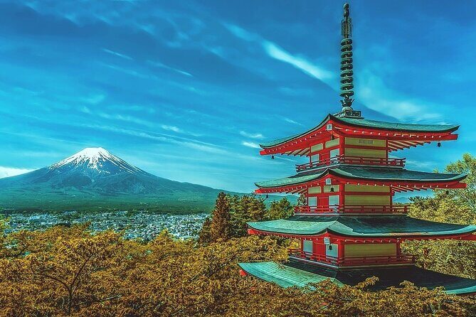 10-Day Private Tour with more than 60 Attractions in Japan - A Complete Look at the 10-Day Private Japan Tour