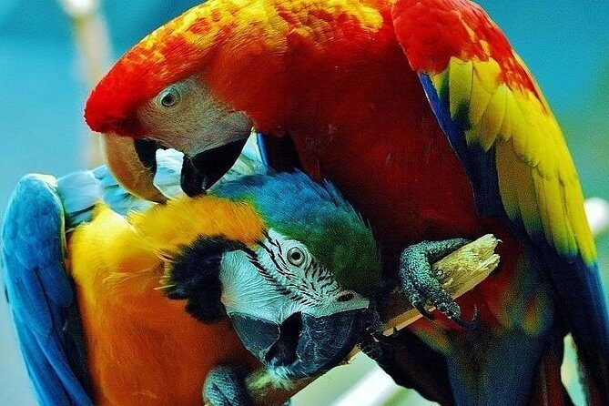 10 Days: Costa Rica Pure Nature - Why This Tour Stands Out