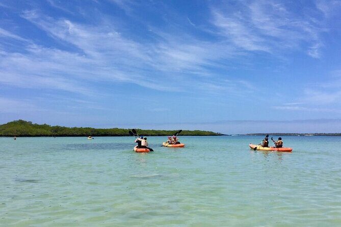 10 Days Galapagos Island Hopping: Santa Cruz & Isabela Island - An In-Depth Look at the Galapagos 10-Day Island Hopping Tour