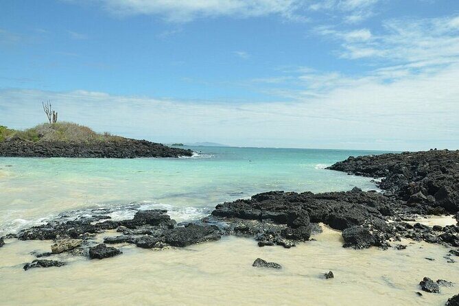 10 Days Galapagos Island Hopping: Santa Cruz & Isabela Island - What We Loved About This Tour