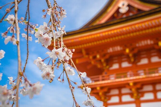 10 Days In-depth Discover Japan Deluxe Tour - What Makes This Tour Stand Out?
