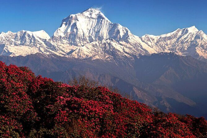 10 Days Private Guided Annapurna Basecamp Trek via Poon Hill - Practical Considerations and Tips