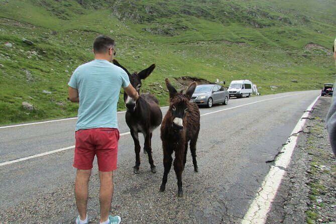 10 Days Private Tour in Romania from Bucharest - Fun and Reflection in Maramures