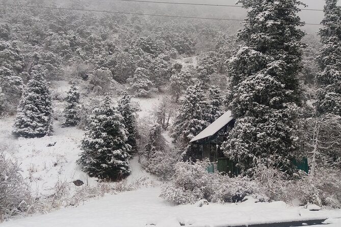 10 days trip around Kyrgyzstan be a nomad - Exploring Kyrgyzstan in 10 Days: A Detailed Review