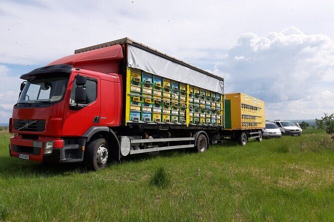 10 hours Private Apiary Tour in Romania - From Bucharest - Price and Value Analysis
