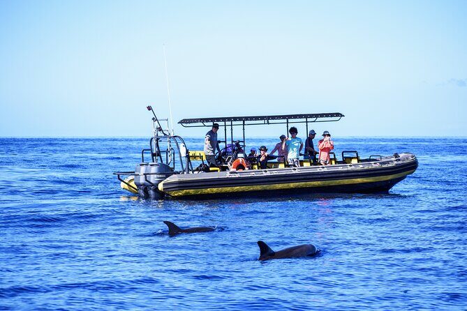10 Passenger Max Customizable Private Charter - An Exclusive Marine Adventure on the Big Island