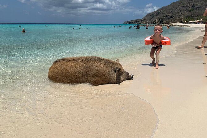 10 Seats Private Van Beach hopping (AC) - Discover Curacao in Comfort: A Private Beach-Hopping Journey