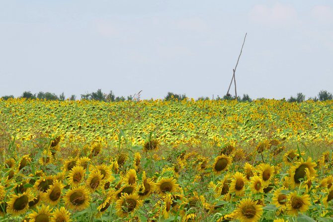 100 km by bike near Bucharest - Key Points