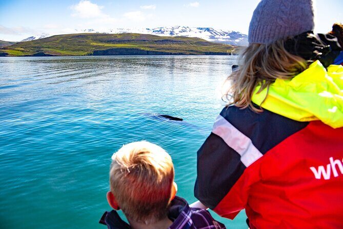 100% Whale Watching - Discover the Beauty of Icelands Marine Life with a Whale Watching Tour from Hauganes