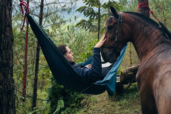 100-Year-Old family-run Finca: Horseback Riding & More - Key Points