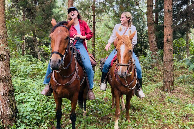 100-Year-Old family-run Finca: Horseback Riding & More - Analyzing the Value