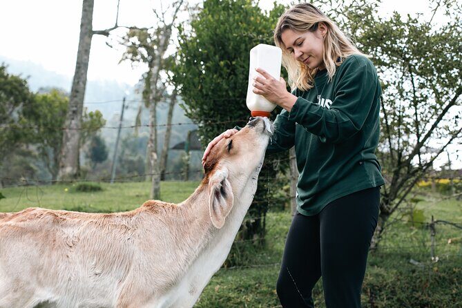 100-Year-Old family-run Finca: Horseback Riding & More - FAQs