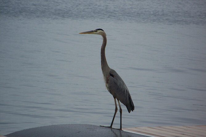 1000 Islands Canada (No passports required, Departing from the US - Final Thoughts