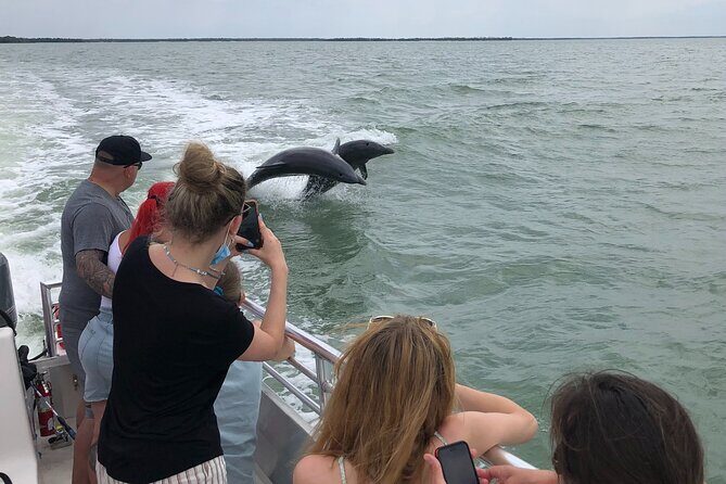 10,000 Islands Boat Excursion - 3.5-Hour Dolphins & Shelling Tour - Exploring the 10,000 Islands: An Authentic Florida Adventure