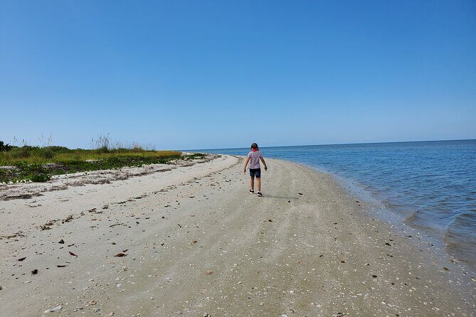 10,000 Islands Boat Tour + Naturalist Led Walk in the Everglades! - An In-Depth Look at the Tour Experience