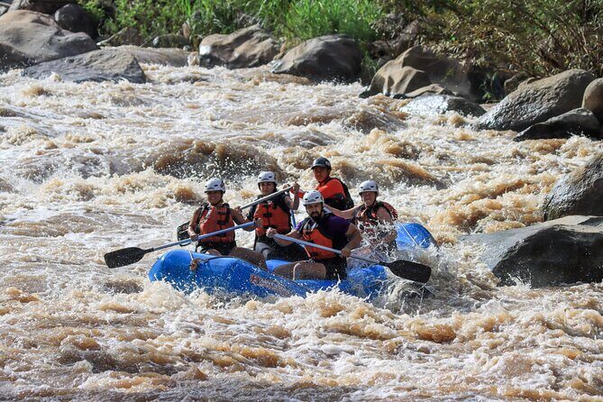 10km Rafting with 8Adventures from Chiang Mai Include Pickup & Lunch - Who Will Love This Tour?