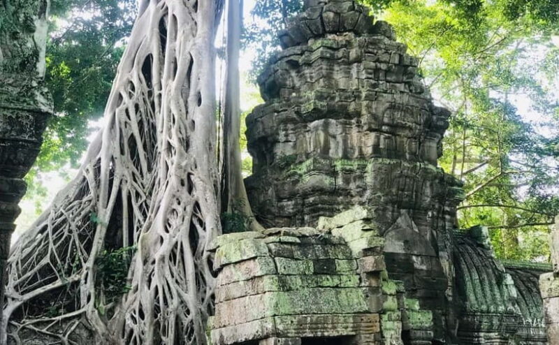 11-Day Cambodia Tour: visit Phnom Penh, Siem Reap & Beyond - Exploring Cambodia: A Deep Dive into the 11-Day Tour