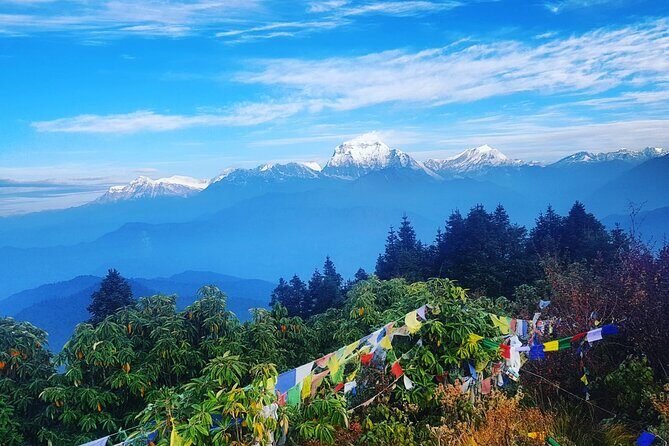 11-Day Hike Tour to Annapurna Base Camp Bliss in Kathmandu - A Deep Dive into the Annapurna Base Camp Trek Experience