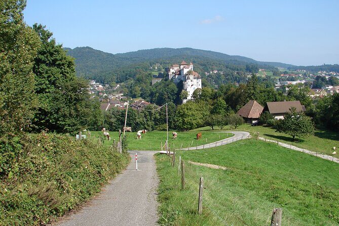 11-Day Private Lite Tour Across Switzerland by Bike from Geneve - The Experience of Riding Through Switzerland