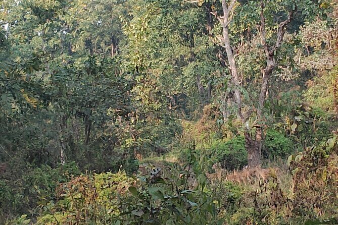 11 Days Nepal Round Tour - Frequently Asked Questions