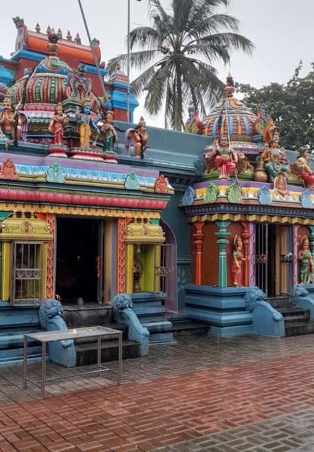 11 nights, 12 days round trip in Sri Lanka: nature, culture, local experiences! - The True Value of This Tour