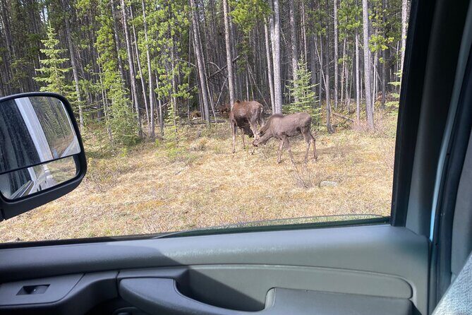 $1100cdn Private Tour Transportation Driver Guide of Banff! - FAQ
