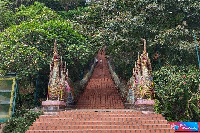 11km Scred Mountain Hike - Key Points