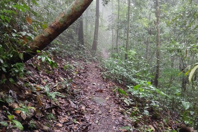 11km Scred Mountain Hike - Final Thoughts