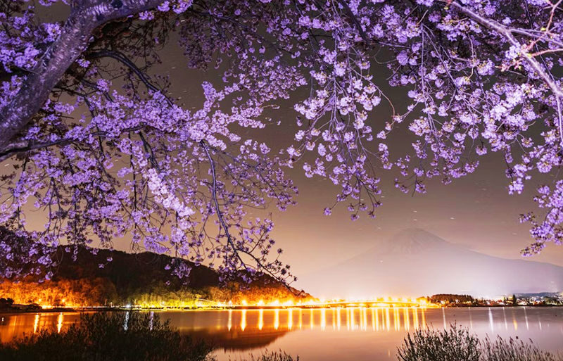 12:30 Departure - Mount Fuji with free dinner set - Kawaguchiko, Oishi Park, Oshino Hakkai, Illumination tour - Sunset and illumination: appealing, but ask where