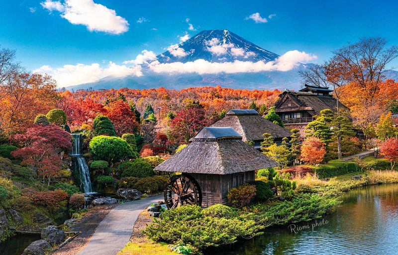 12:30 Departure - Mount Fuji with free dinner set - Kawaguchiko, Oishi Park, Oshino Hakkai, Illumination tour - Booking, timing and who this suits