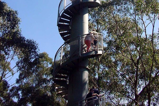 12 Apostles and Otway Fly Zipline Day Trip from Melbourne - Practical Tips for Your Day