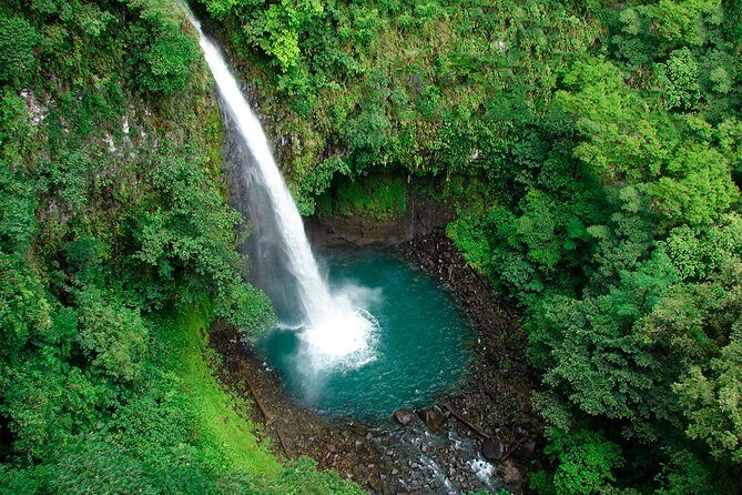 12-Cable Zipline Canopy Tour Over Waterfalls - Who This Tour Is Perfect For