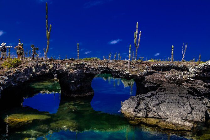 12-Day Galapagos Superior Adventure (Tourist Class) - Who Will Love This Tour?